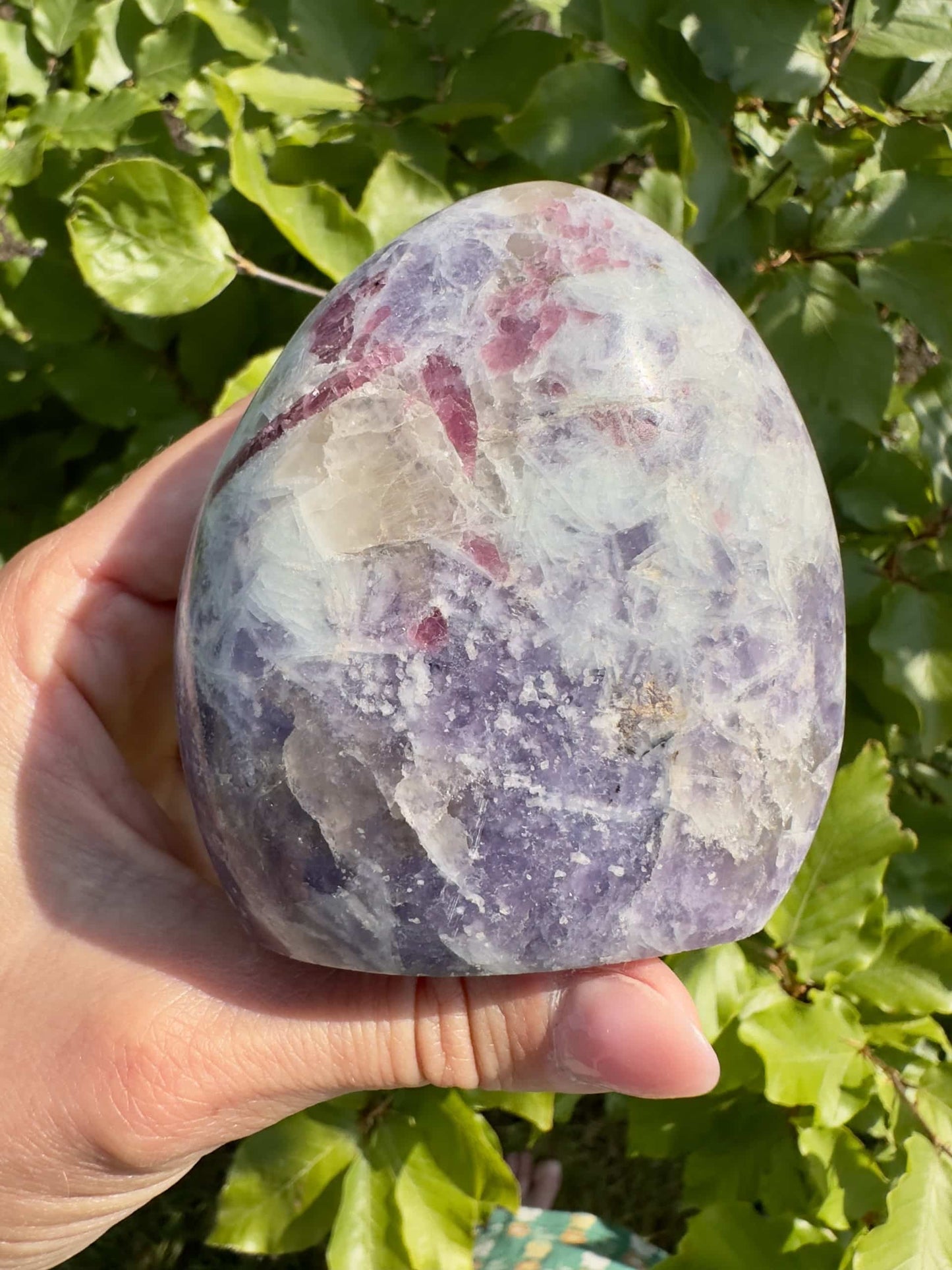 Hånd holder Lepidolit med pink Turmalin free form; grønne blade i baggrunden.