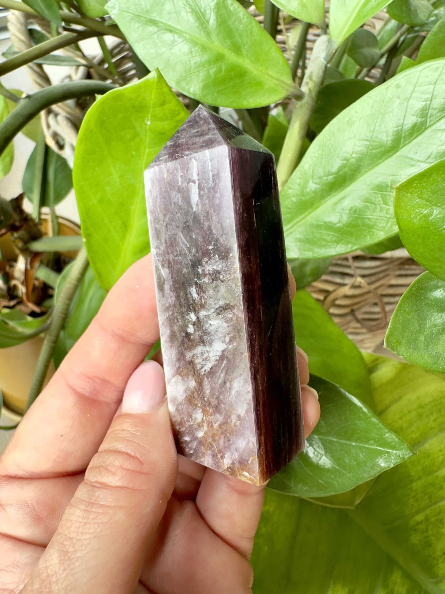 Hånd, der holder en spids Lepidolit med Mica foran grønne blade.