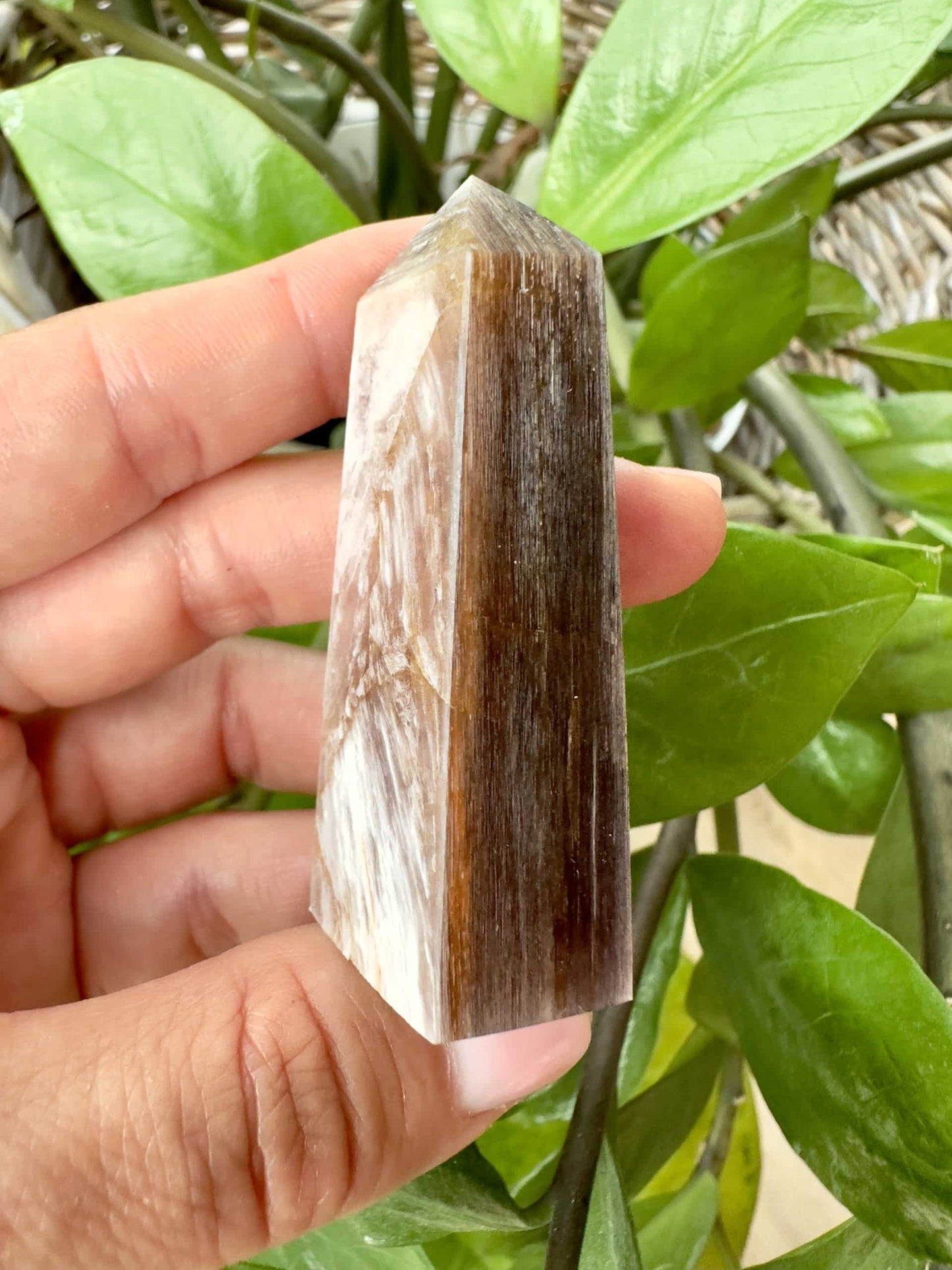 Hånd holder Lepidolit med Mica obelisk, grønne planter i baggrunden.