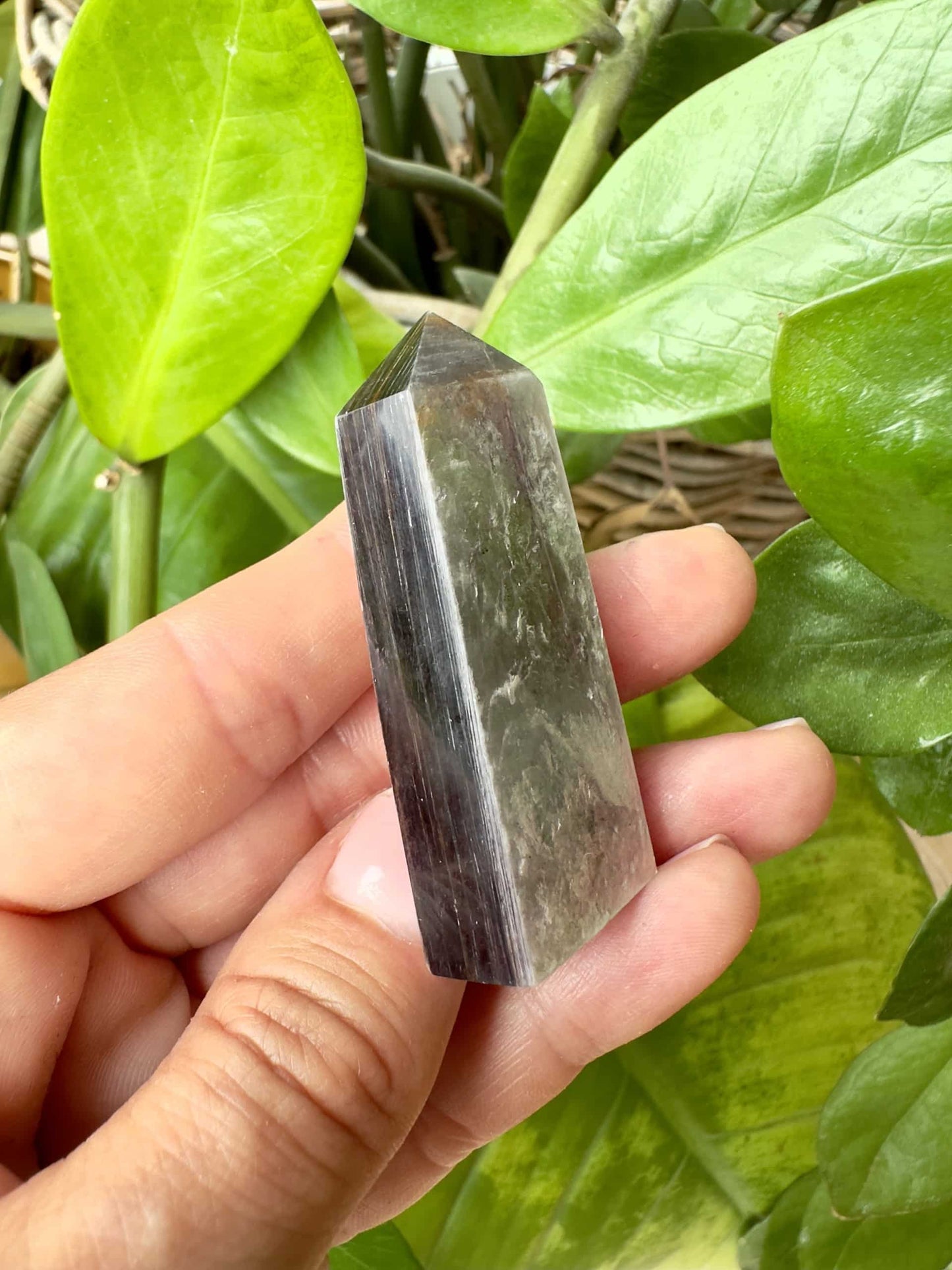 Hånd holder en poleret Lepidolit med Mica foran grønne blade.