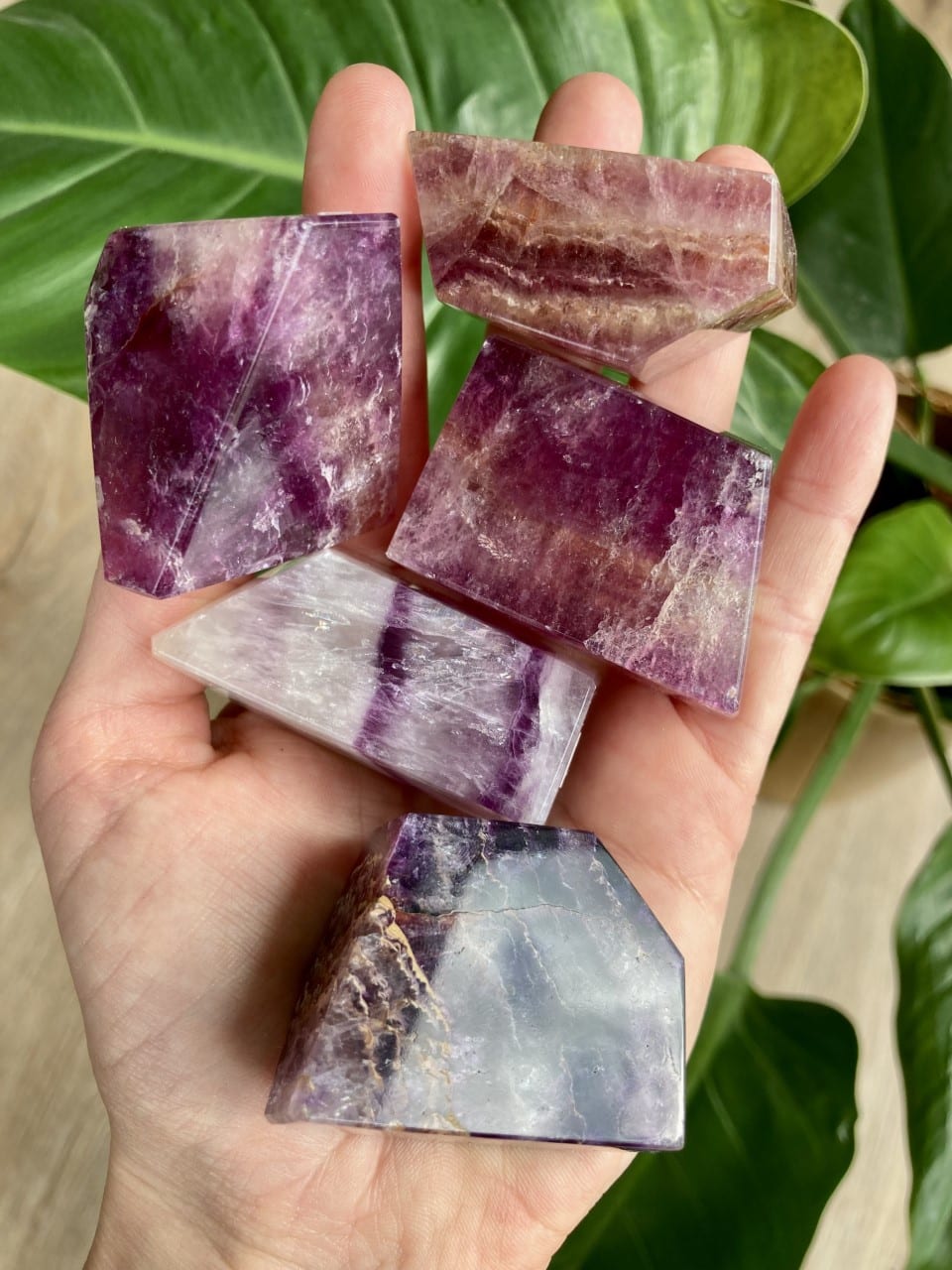 En hånd holder fem lilla fluoritsten på en baggrund af grønne blade.