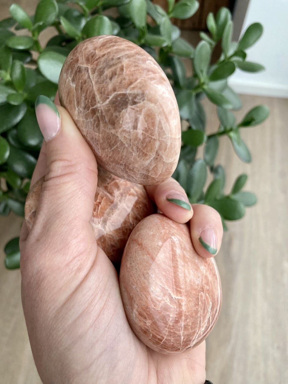 Hånd holder Fersken Månesten palmstone foran grøn plante i en stue.