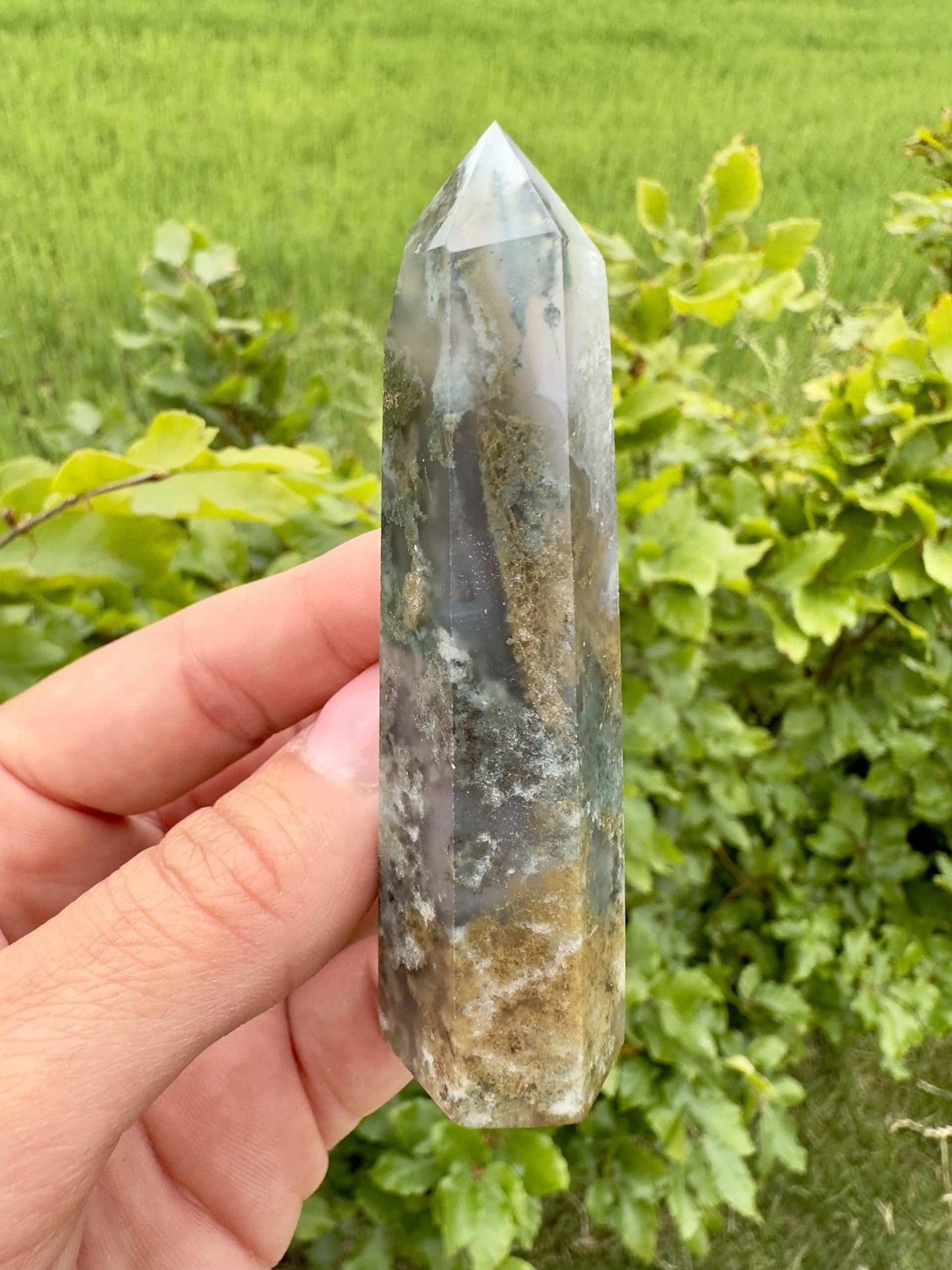 Hånd holder et Mos Agat tårn foran grønne blade, med mark i baggrunden.