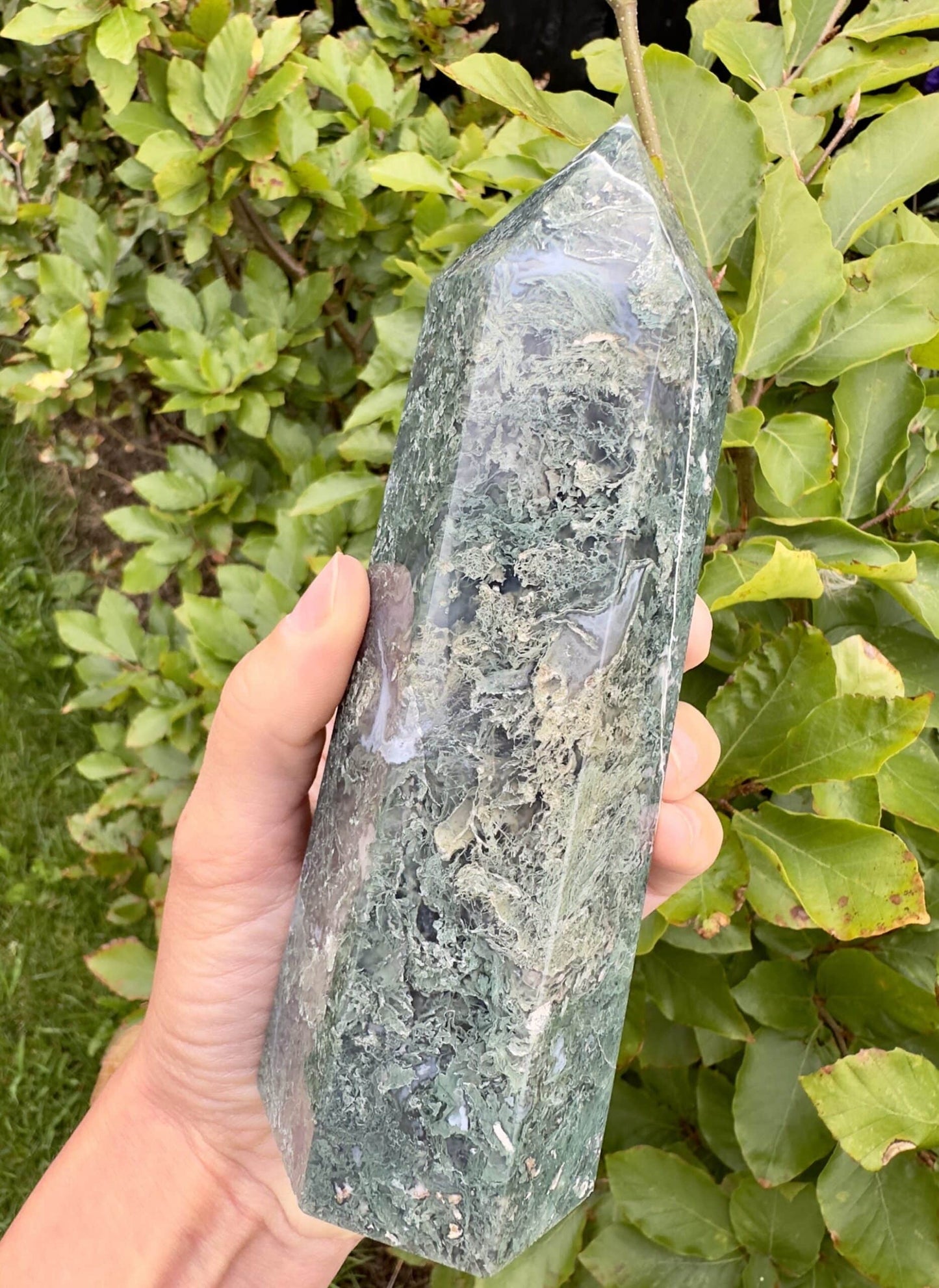 Hånd holder et stort Mos Agat tårn foran grønne blade.