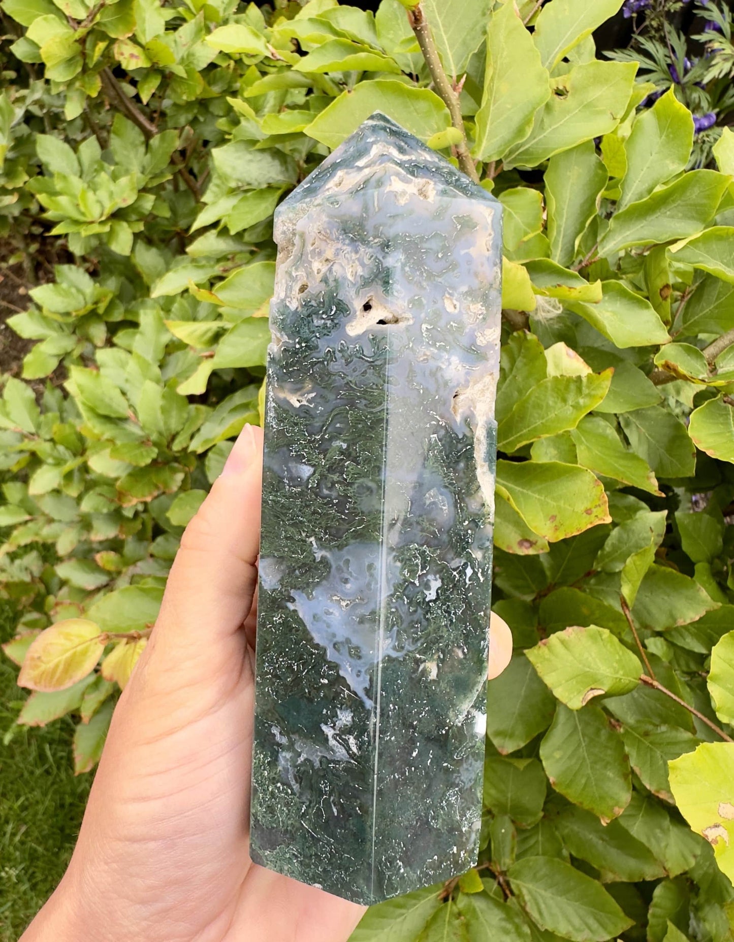 Hånd holder en Mos Agat tårn foran grønne blade i baggrunden.