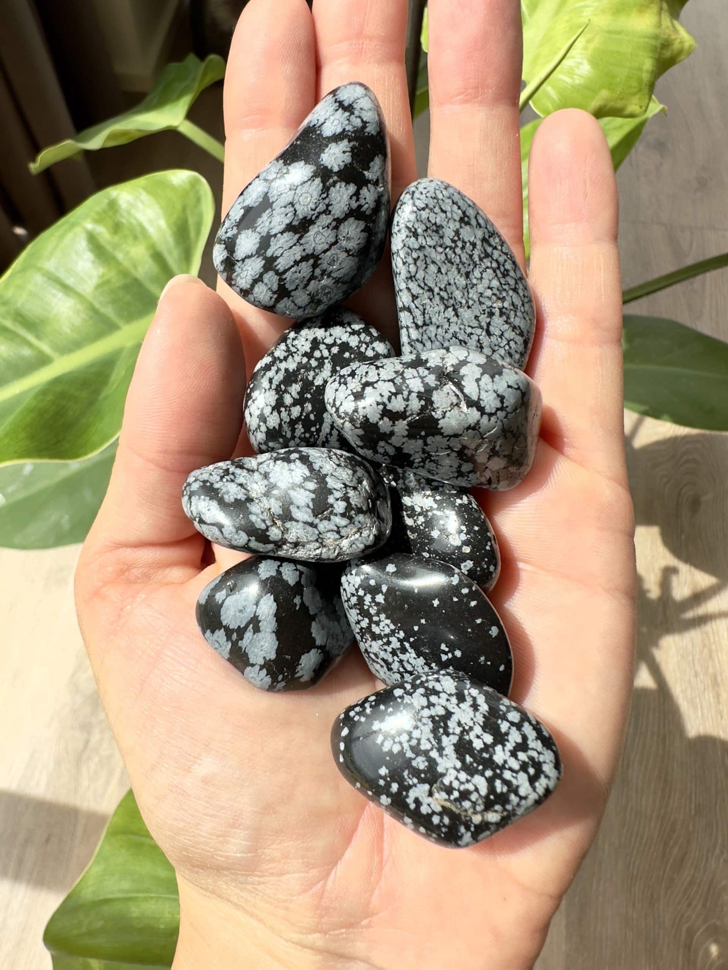 Hånd med Obsidian Snefnug lommesten mod baggrund af grønne blade.