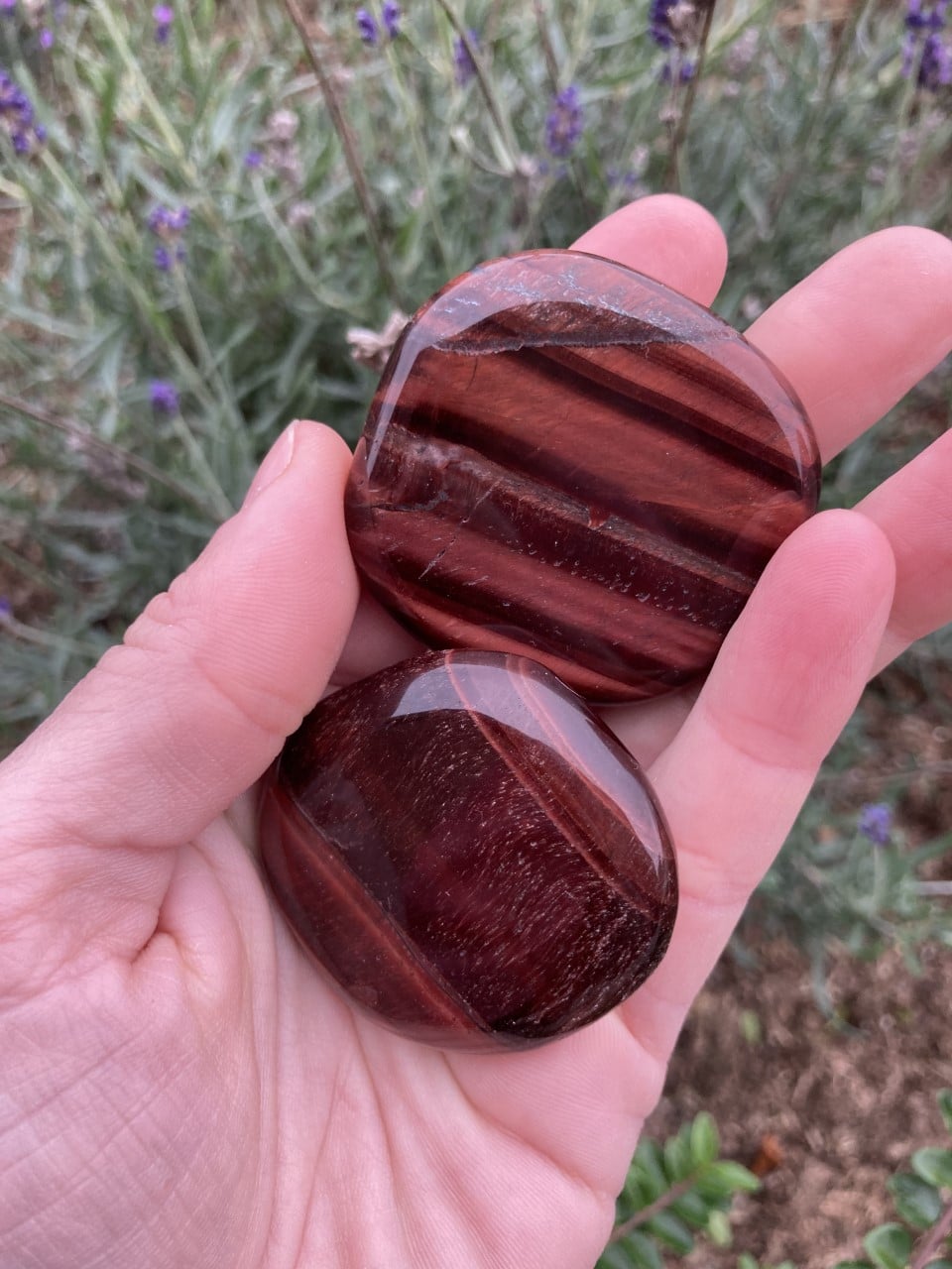 To okseøje-sten ligger i en hånd med en blomsterbaggrund.