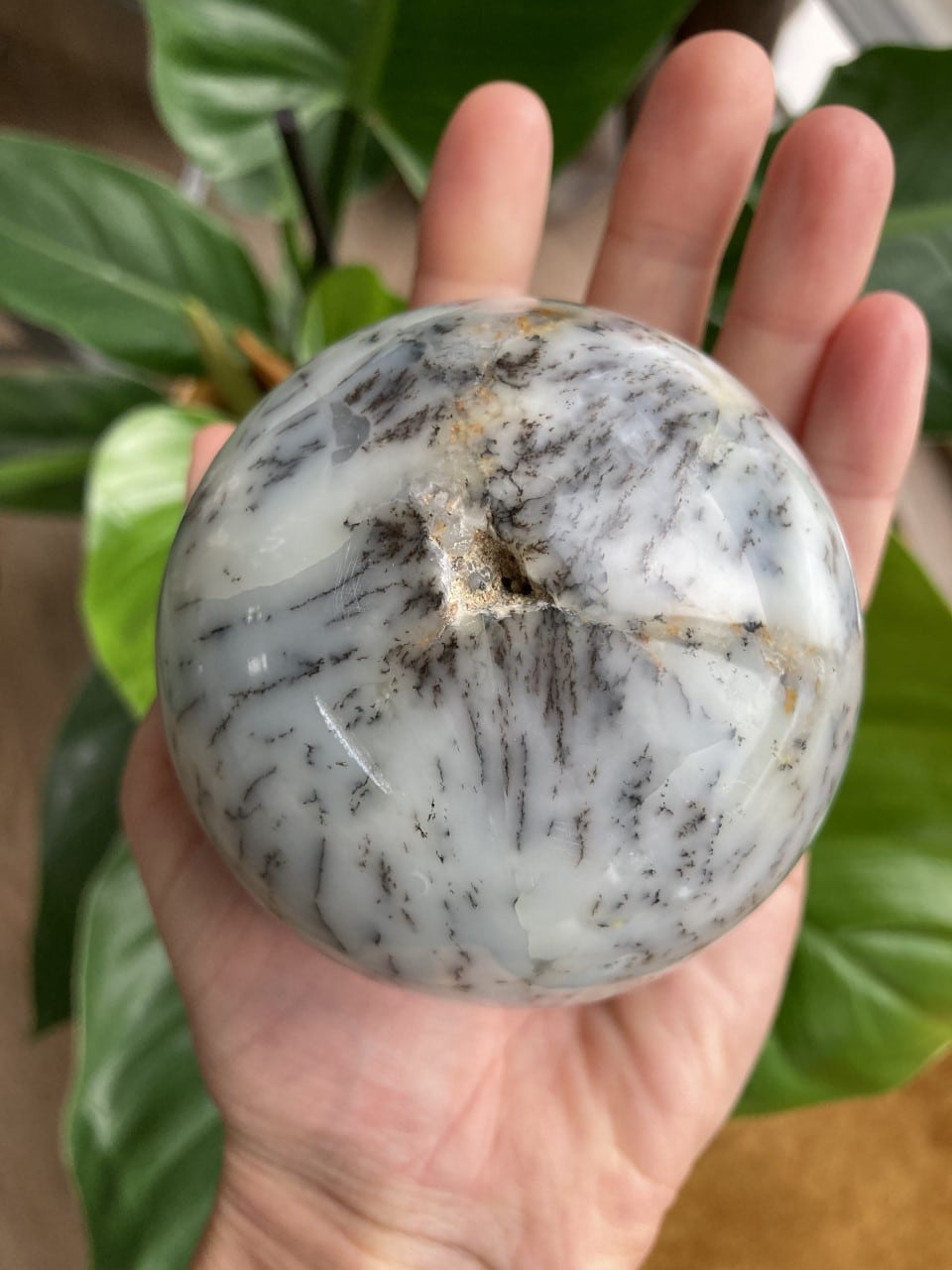 En hånd holder en Opal Dendrit kugle med sorte mønstre, foran grønne blade.