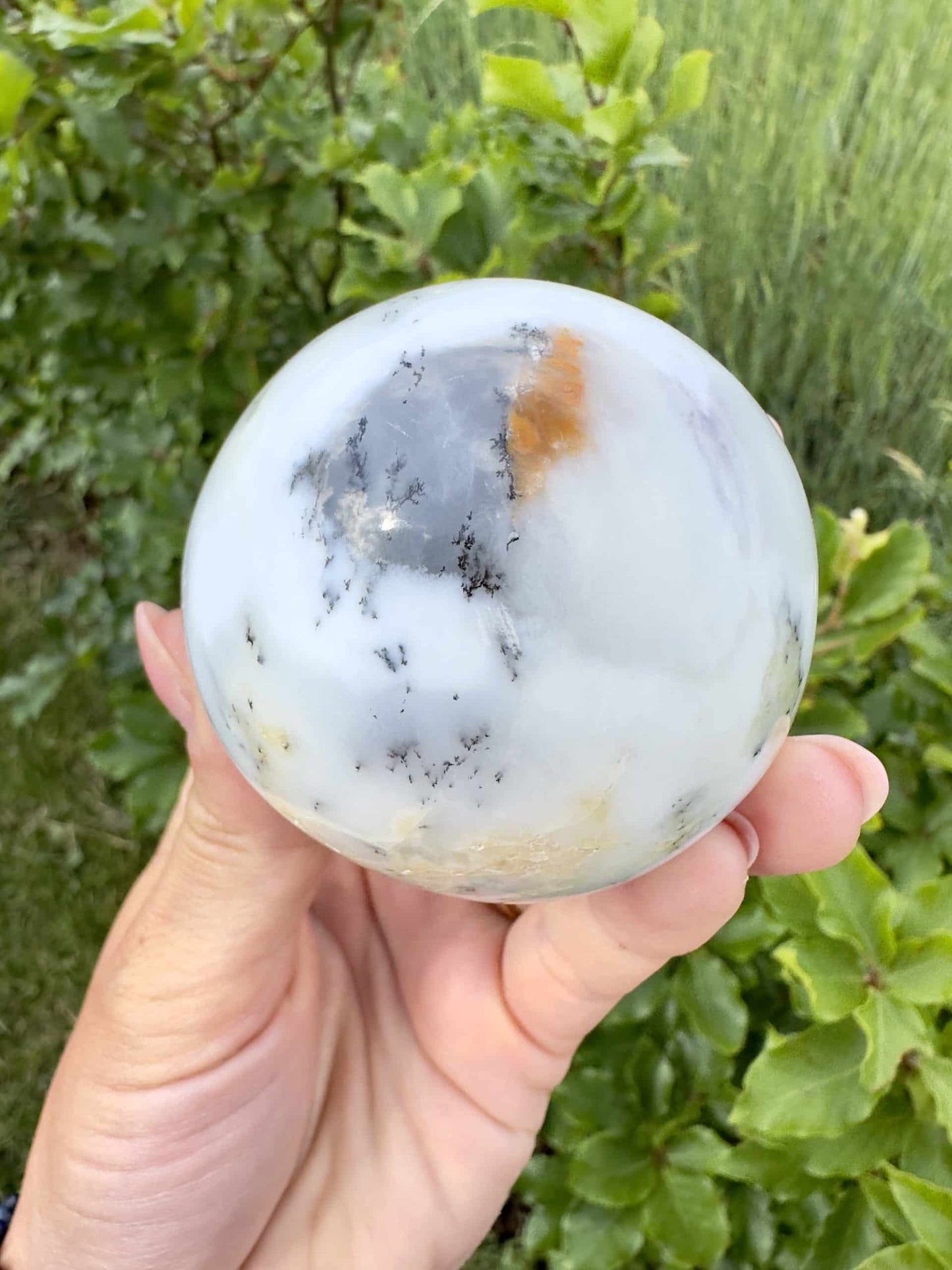 Hånd holder en Opal Dendrit kugle mod en baggrund af grønne blade.