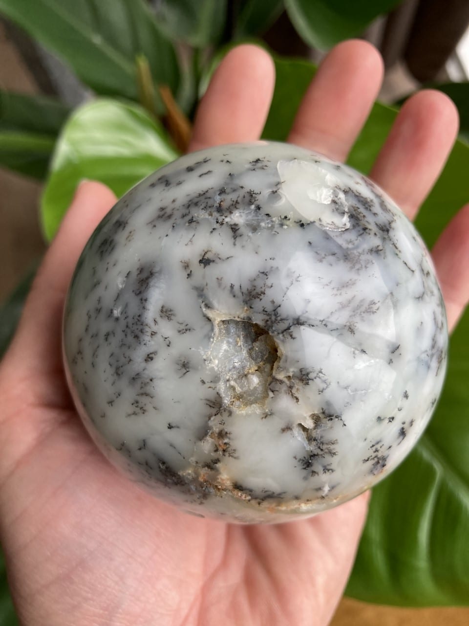 En hånd holder en opal dendrit kugle med sorte mønstre på en grøn plantebaggrund.