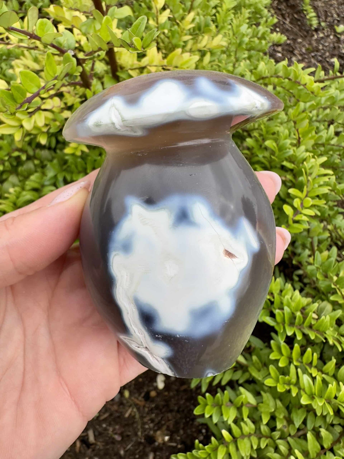 Hånd holder en Orca Agat paddehatformet sten foran grønne planter.