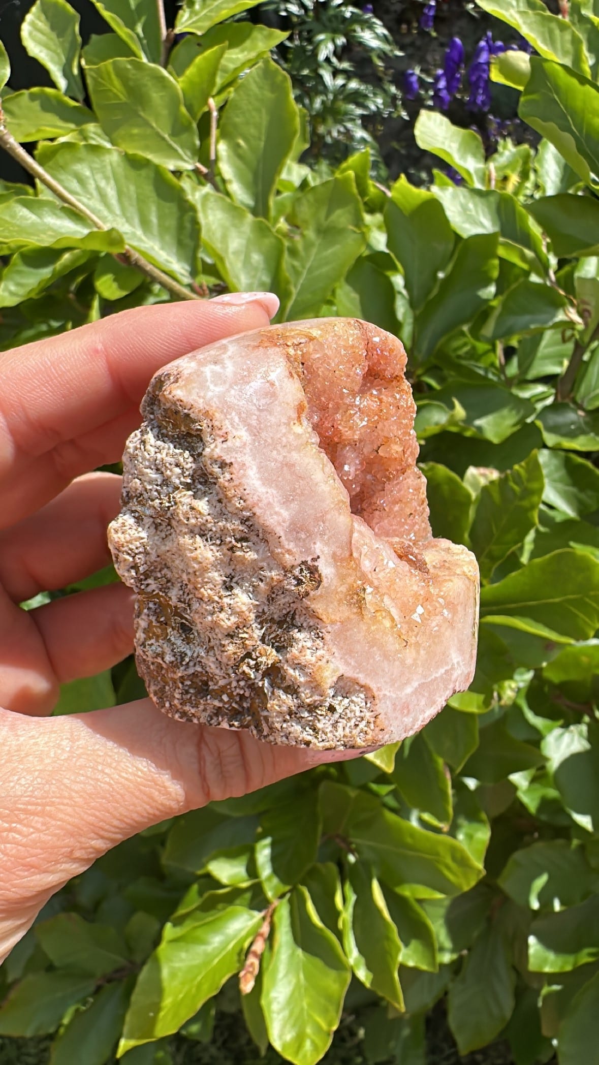 Hånd der holder en stykke Pink Ametyst A6 foran grønne blade i solskin.