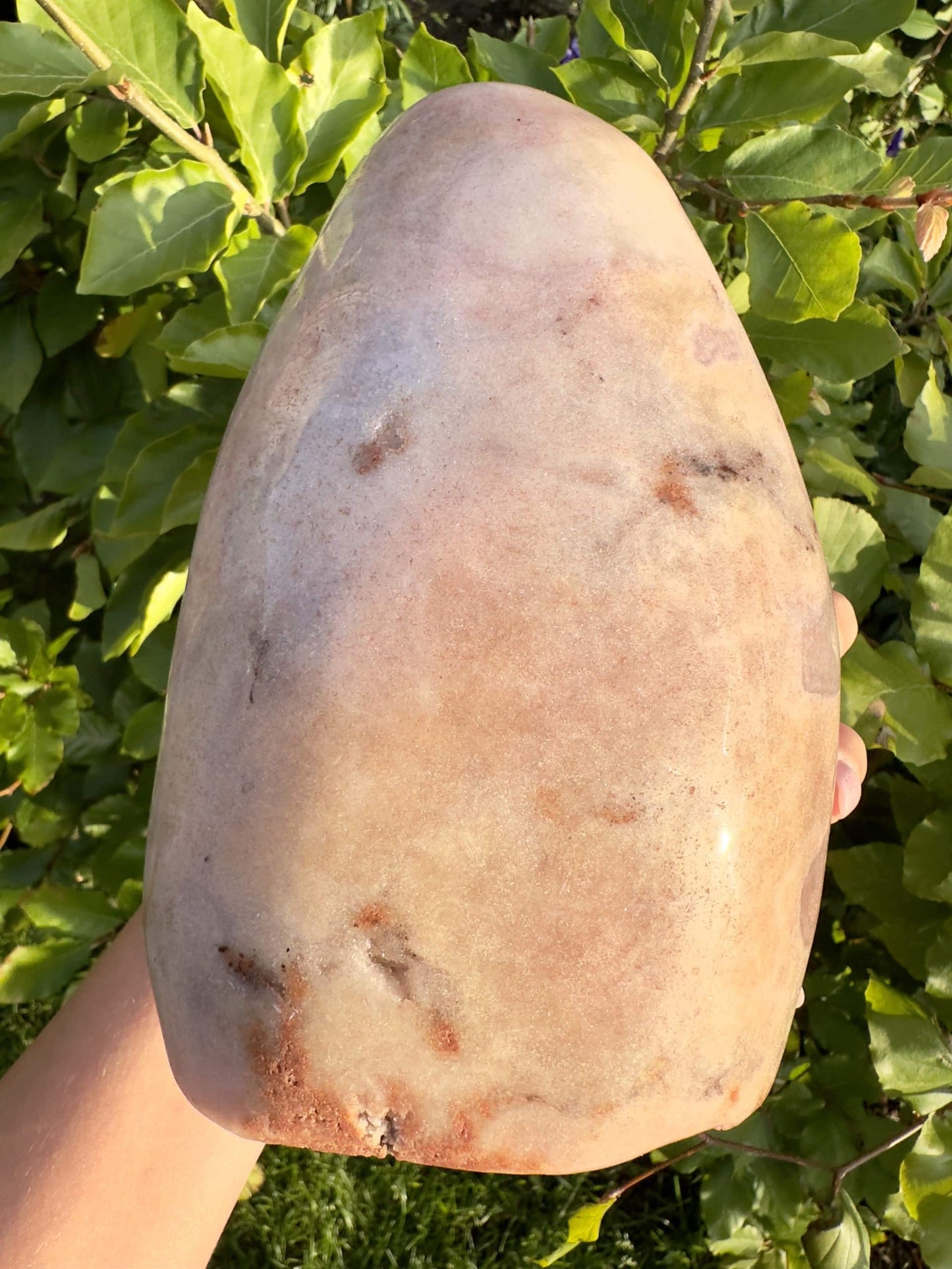 Det er en stor Pink Ametyst unika A3 sten holdt i hånden med grønne blade i baggrunden.