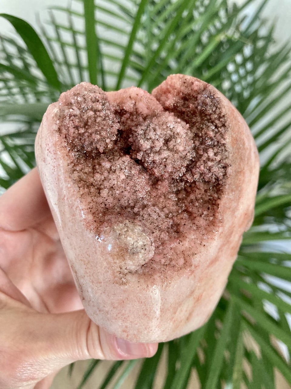 En hånd holder en Pink Ametyst, unika A1, mod en grøn bladbaggrund.