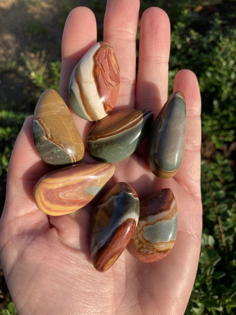 En hånd holder seks Jaspis Polychrome dråber med varierede brune, grønne og cremefarvede mønstre i sollys.