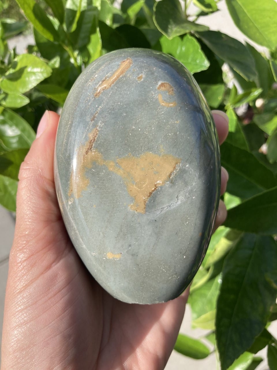 Hånd holder en polykrom jaspissten foran grønne blade i sollys.