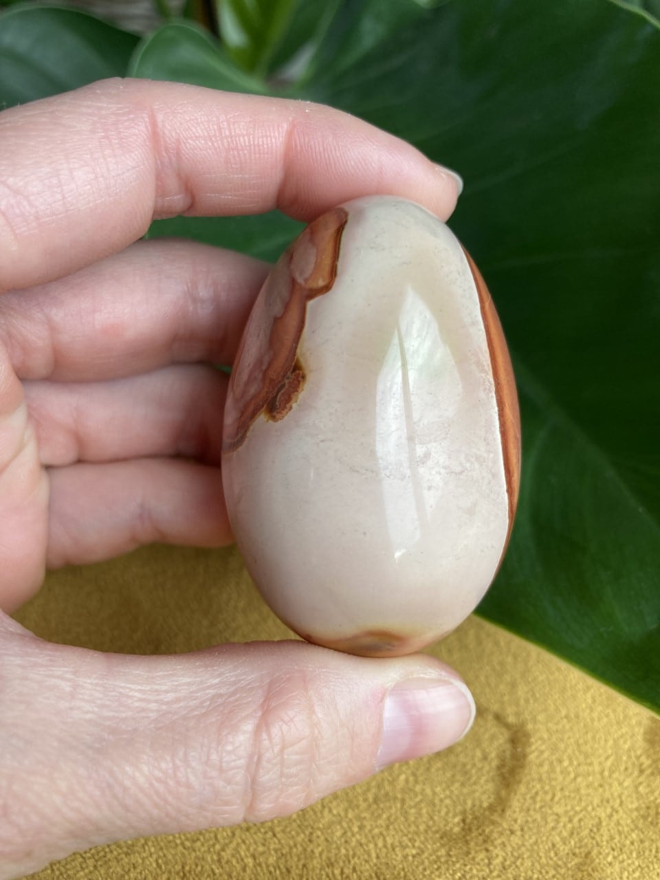 Hånd holder en glat Jaspis Polychrome XL-sten med brune og beige nuancer foran grønne blade.