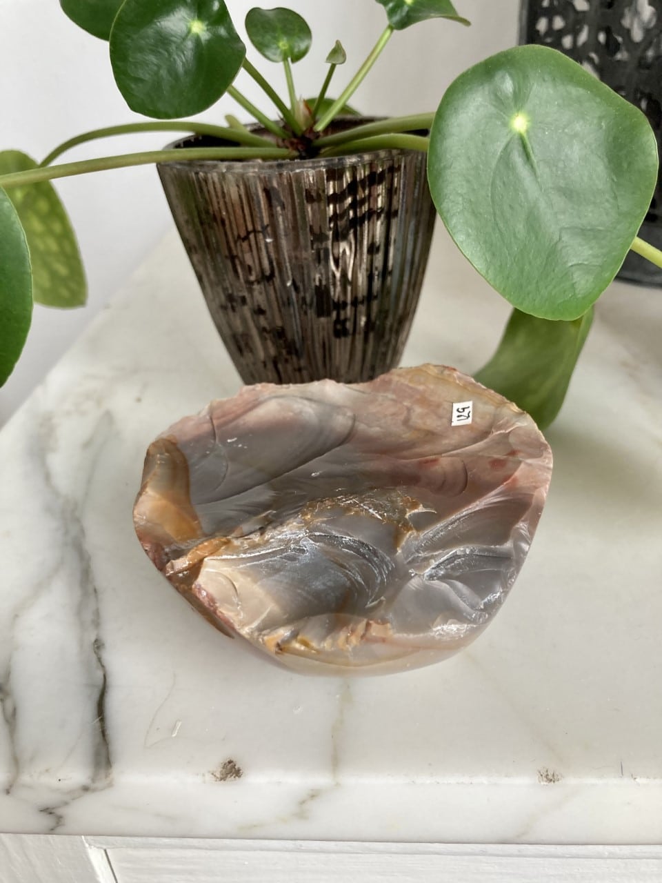 Jaspis Polychrome-skål på marmorbord ved siden af en grøn plante i brun potte.