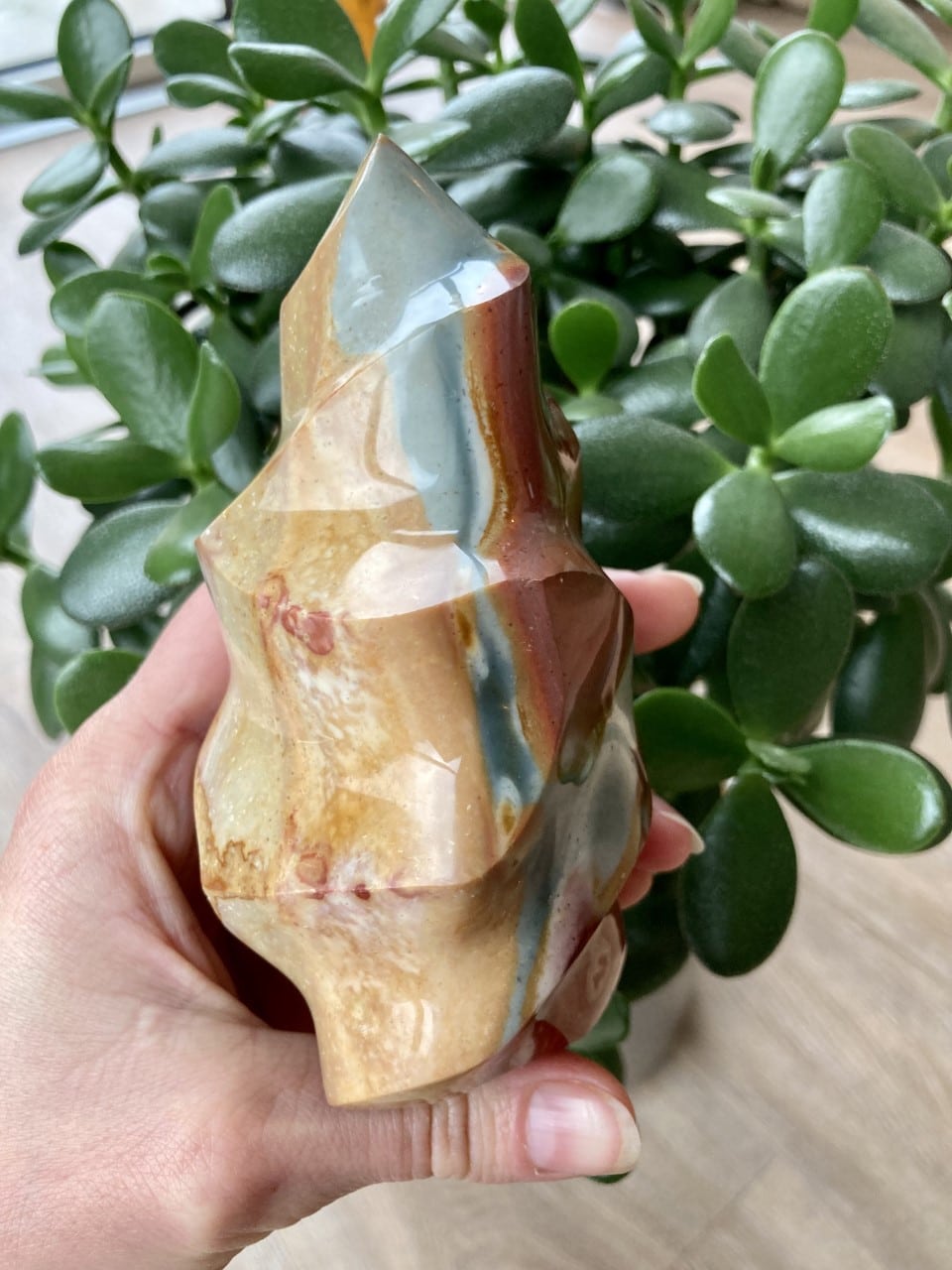 Hånd holder en Jaspis Polychrome flamme foran grønne planter.