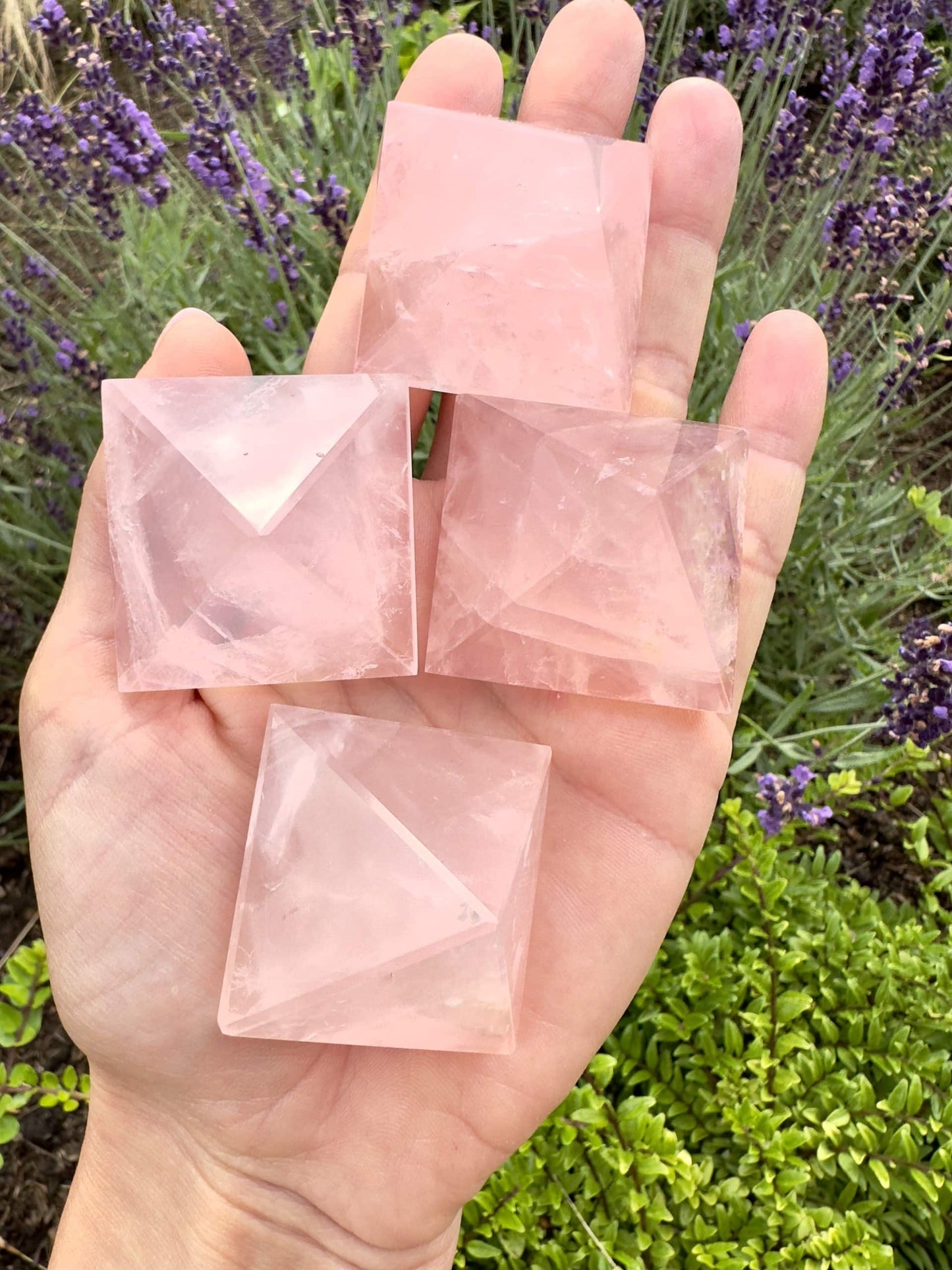 Hånd der holder fire rosenkvarts pyramider foran en baggrund af lilla blomster og grønne blade.