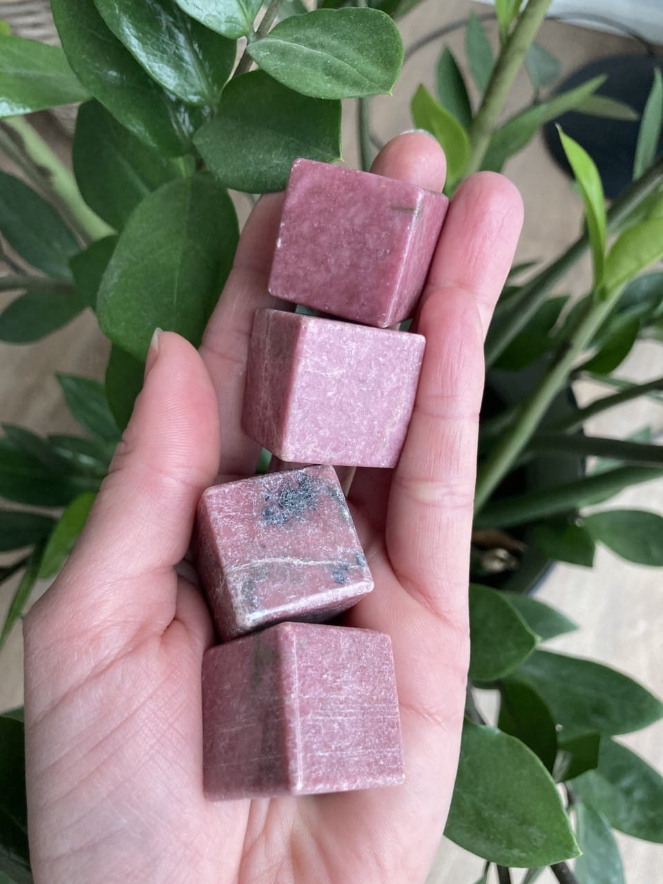 Hånden holder fire Rhodonit-kuber med grønne blade i baggrunden.