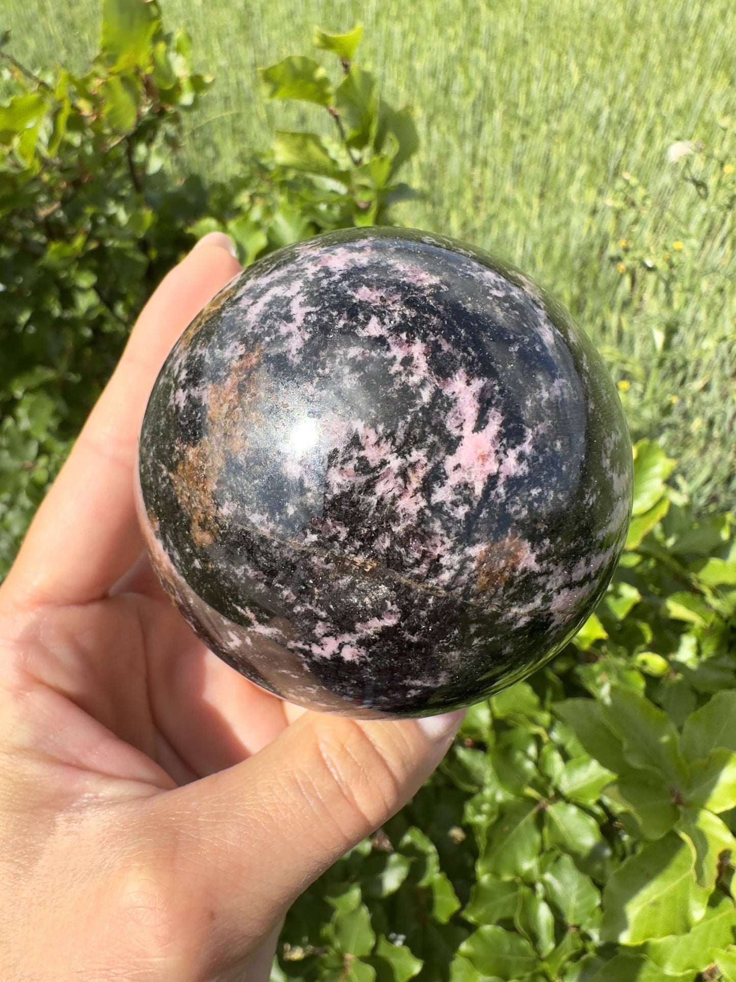 Hånd holder en poleret Rhodonit kugle mod baggrund af grønne blade.