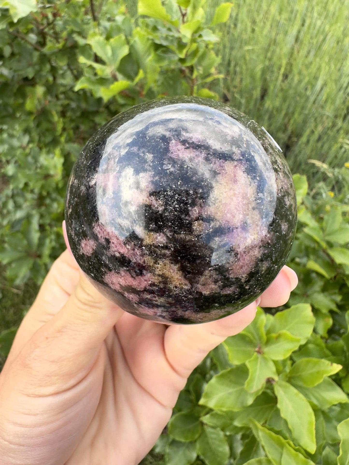 En hånd holder en poleret rhodonit kugle mod en grøn plantebaggrund.