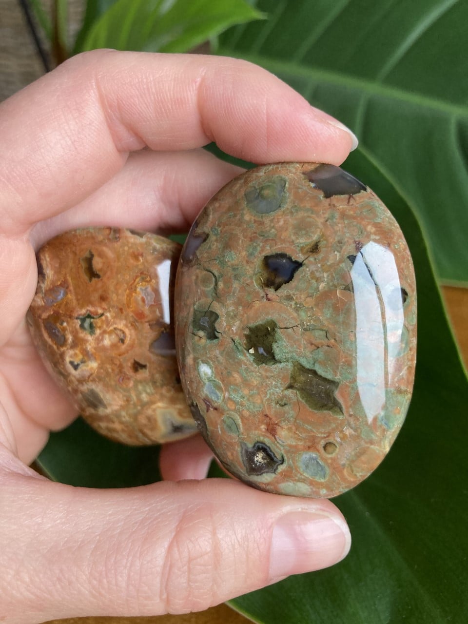 En hånd holder to glatte sten af grøn rhyolit mod en baggrund af grønne blade.