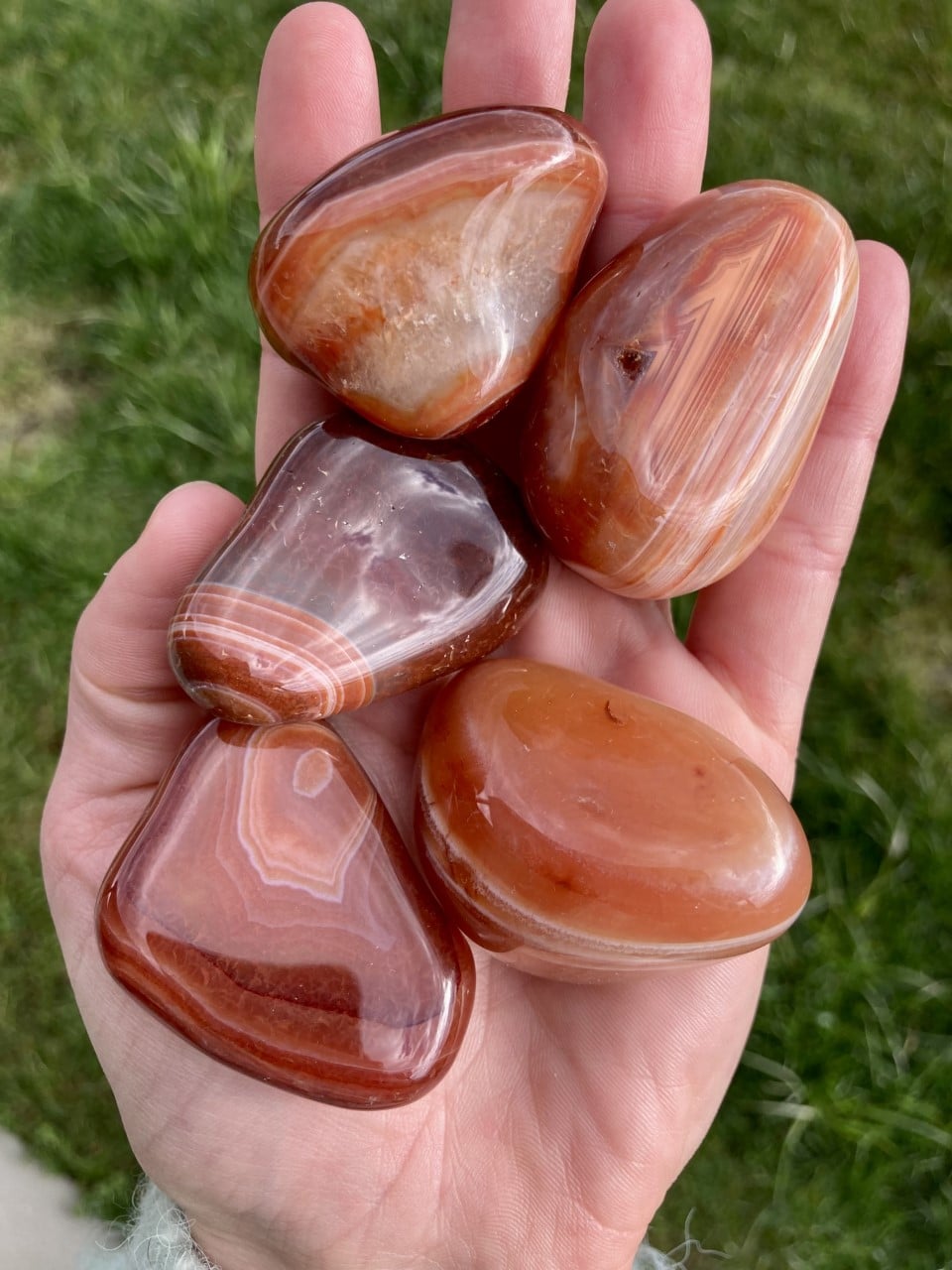 Hånd holder flere polerede røde agatsten med græs i baggrunden.