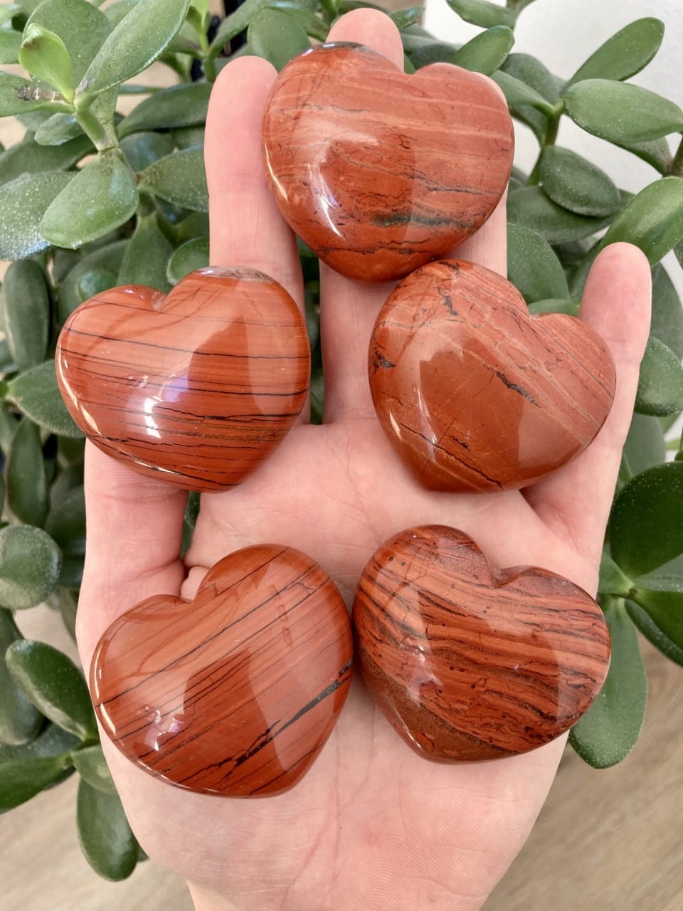 Hånd holder fem hjerteformede Røde Jaspis stene over en grøn plante.