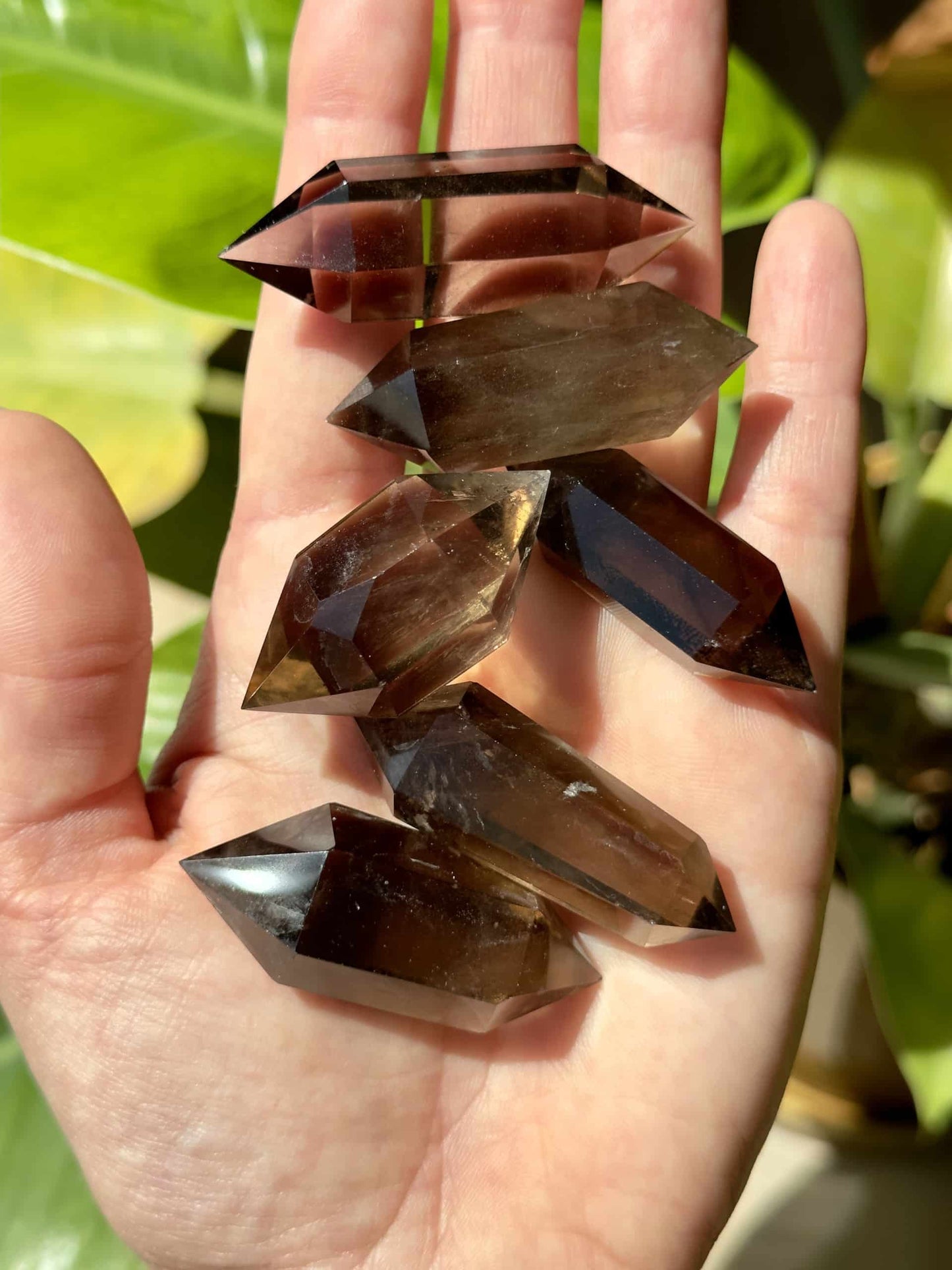 En hånd holder seks dobbelt termineret røgkvarts krystaller på en sløret grøn baggrund.