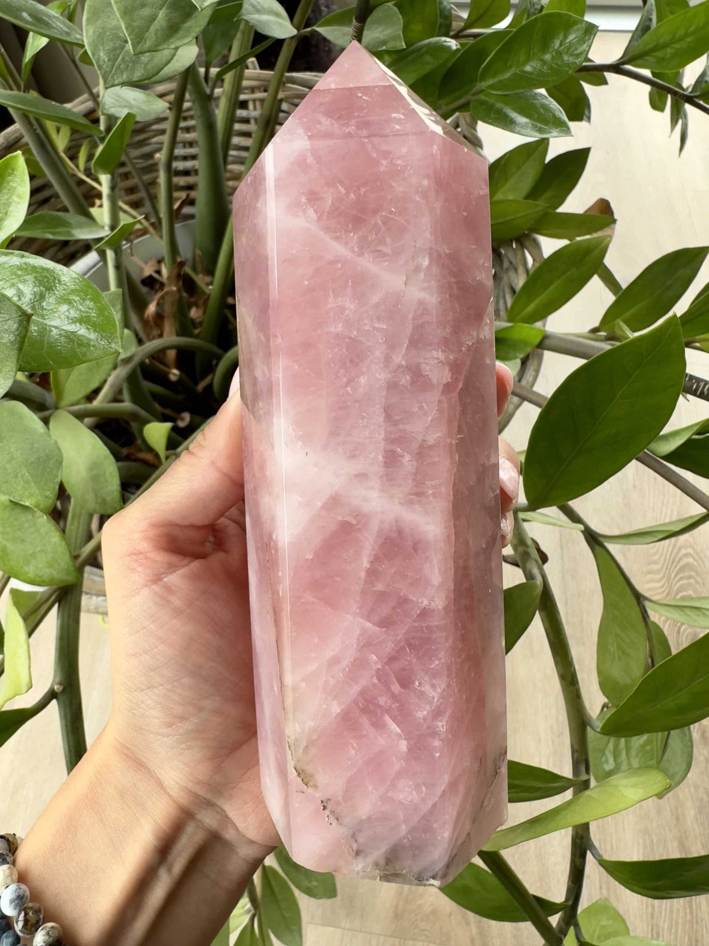 En hånd holder et Rosenkvarts tårn foran en grøn plante.
