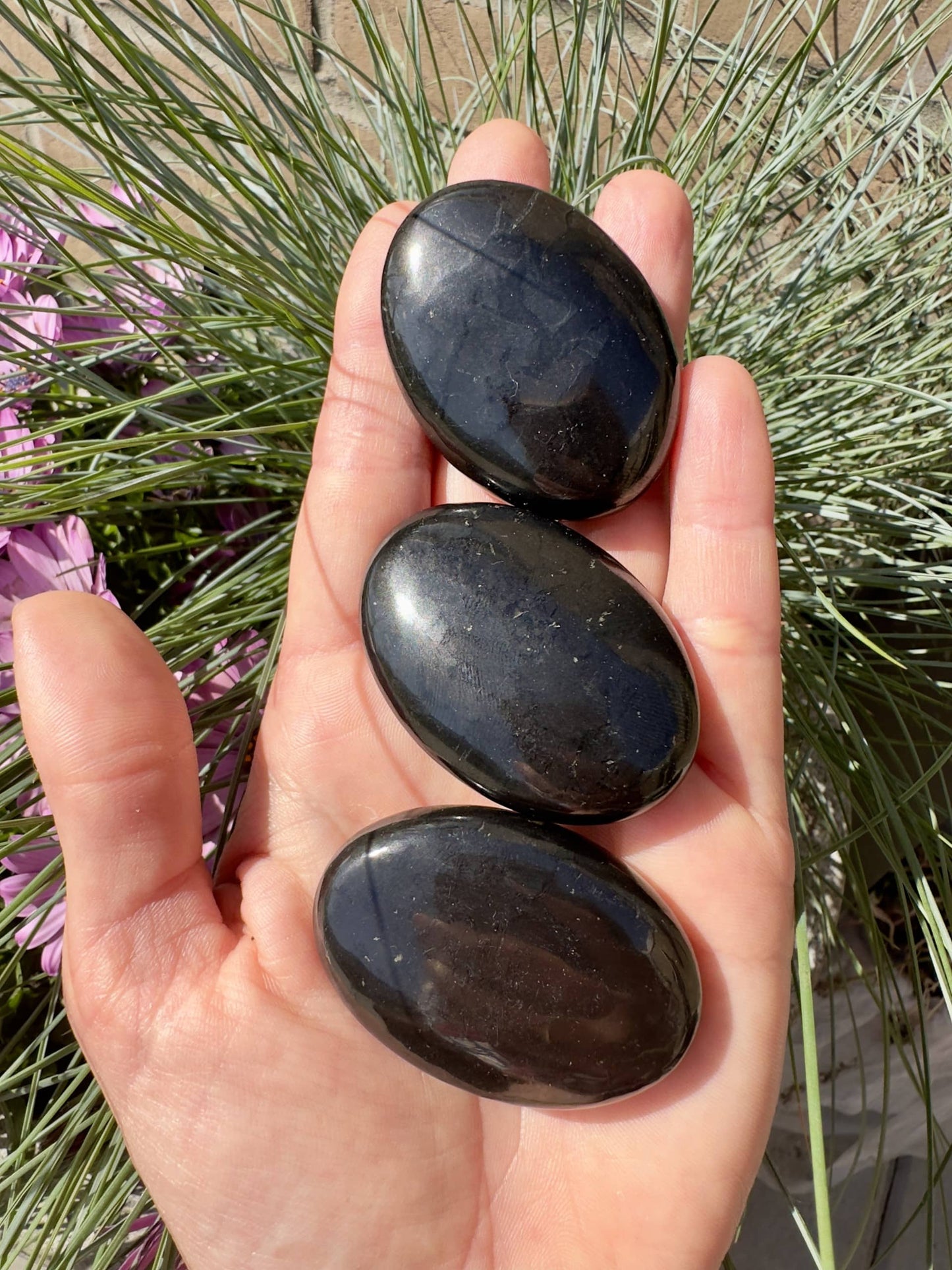 Hånd holder tre Shungit poleret sten foran grønne blade og lilla blomster i baggrunden.