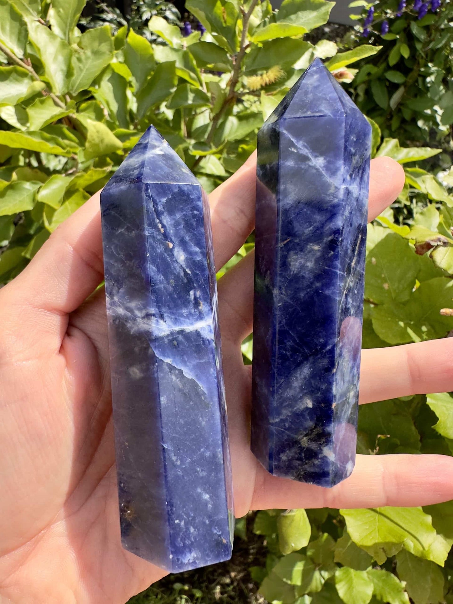 To sodalit tårne holdes i hånden, omgivet af grønne blade i baggrunden.