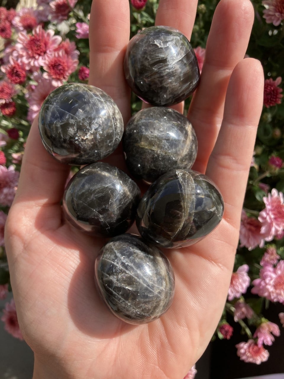 Hånd holder seks Sort Månesten kugler, med lyserøde blomster i baggrunden.