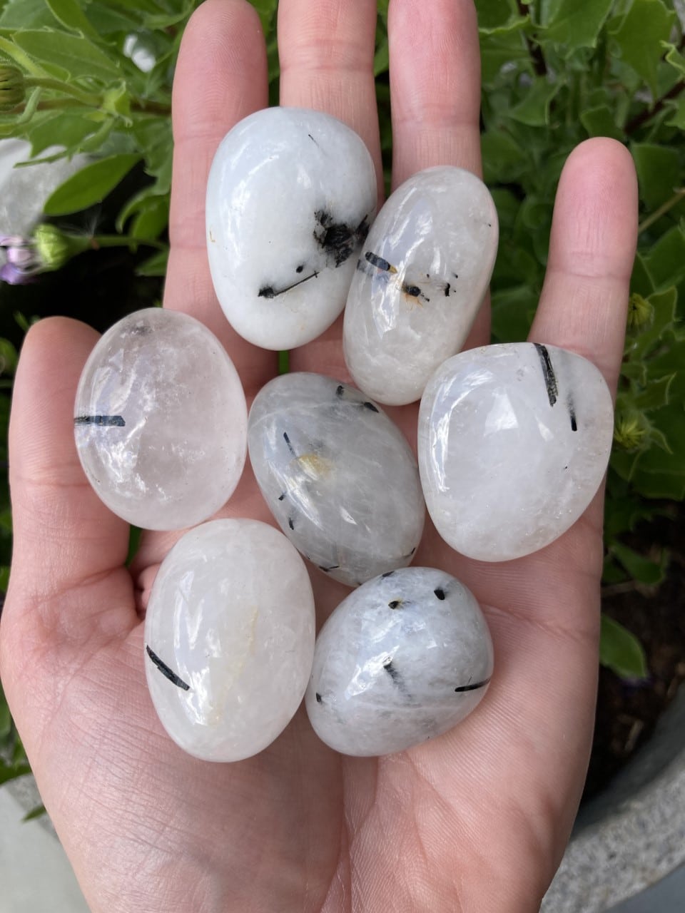 Hånd der holder syv glatte turmalinkvartssten med sorte indeslutninger, mod en baggrund af grønne planter.