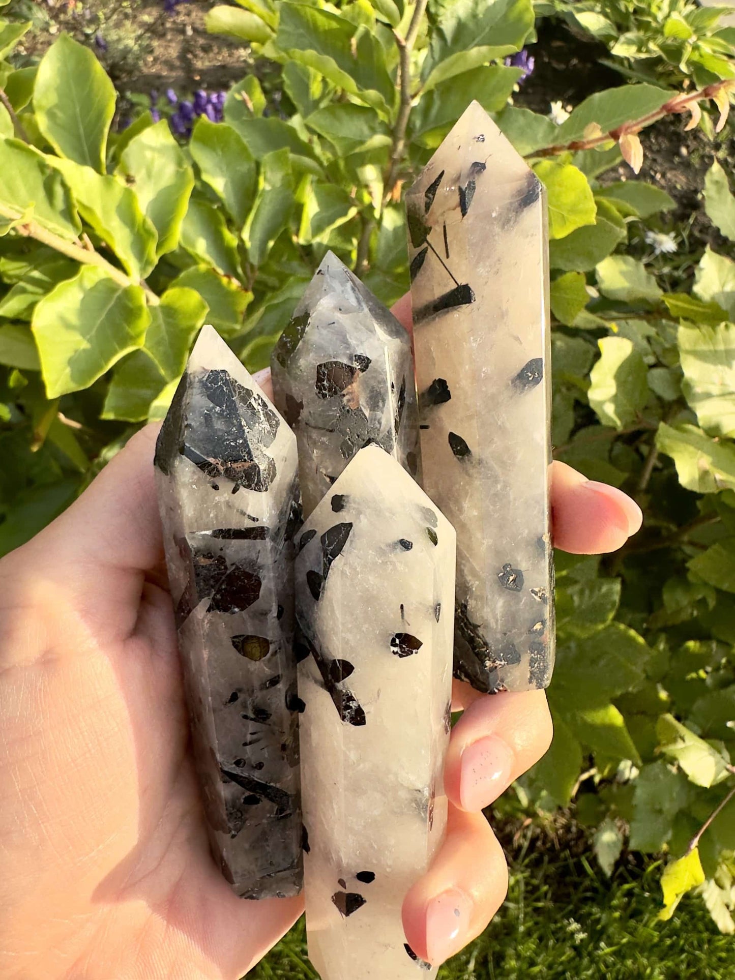 Hånd holder fire turmalinkvarts tårne foran grønne blade i baggrunden.