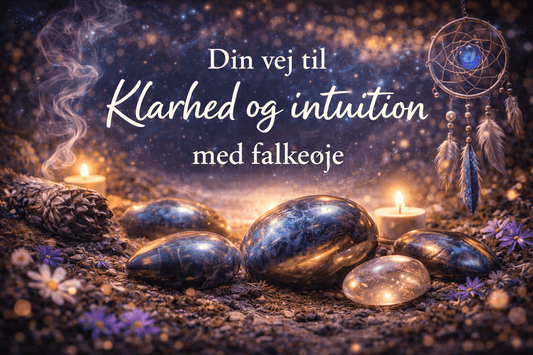 Falkeøje blog billede