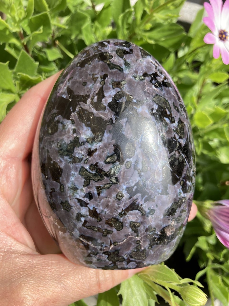 Gabbro free form