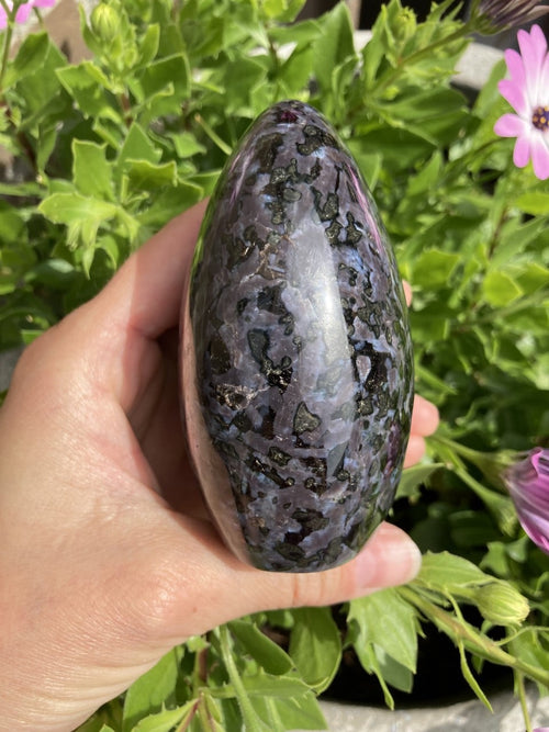 Hånd holder en poleret, æggeformet gabbro-sten foran grønne planter med lyserøde blomster.