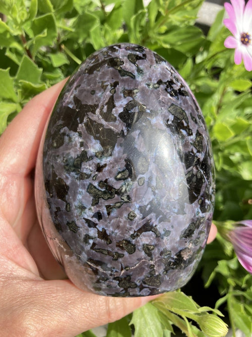 Gabbro free form