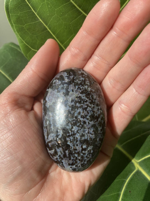 Gabbro xl