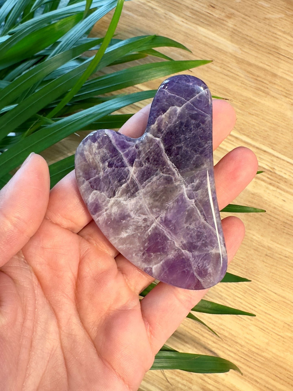 Hånd der holder en Ametyst Gua Sha på en træoverflade med grønne blade i baggrunden.