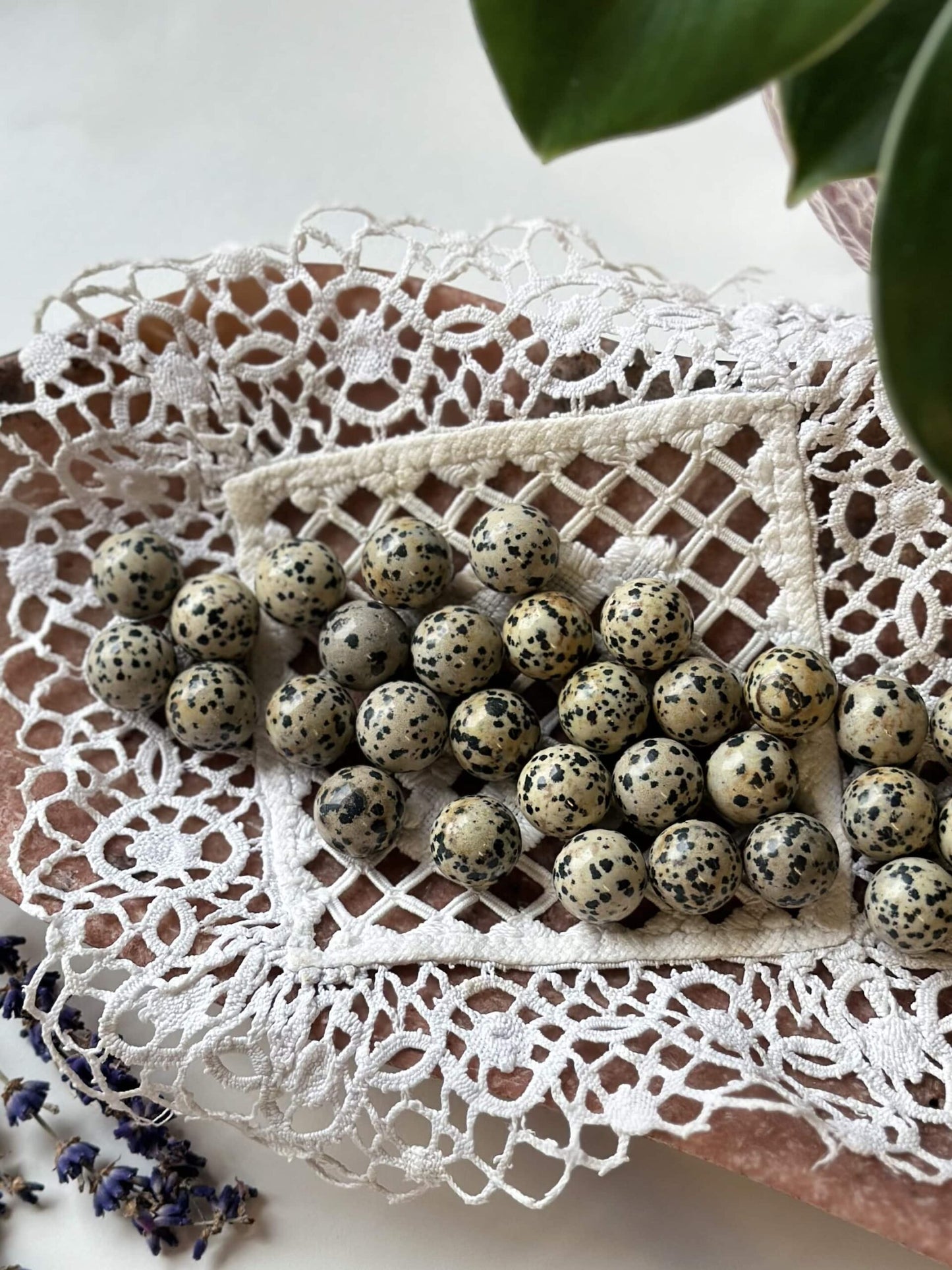 Dalmatiner mini kugler