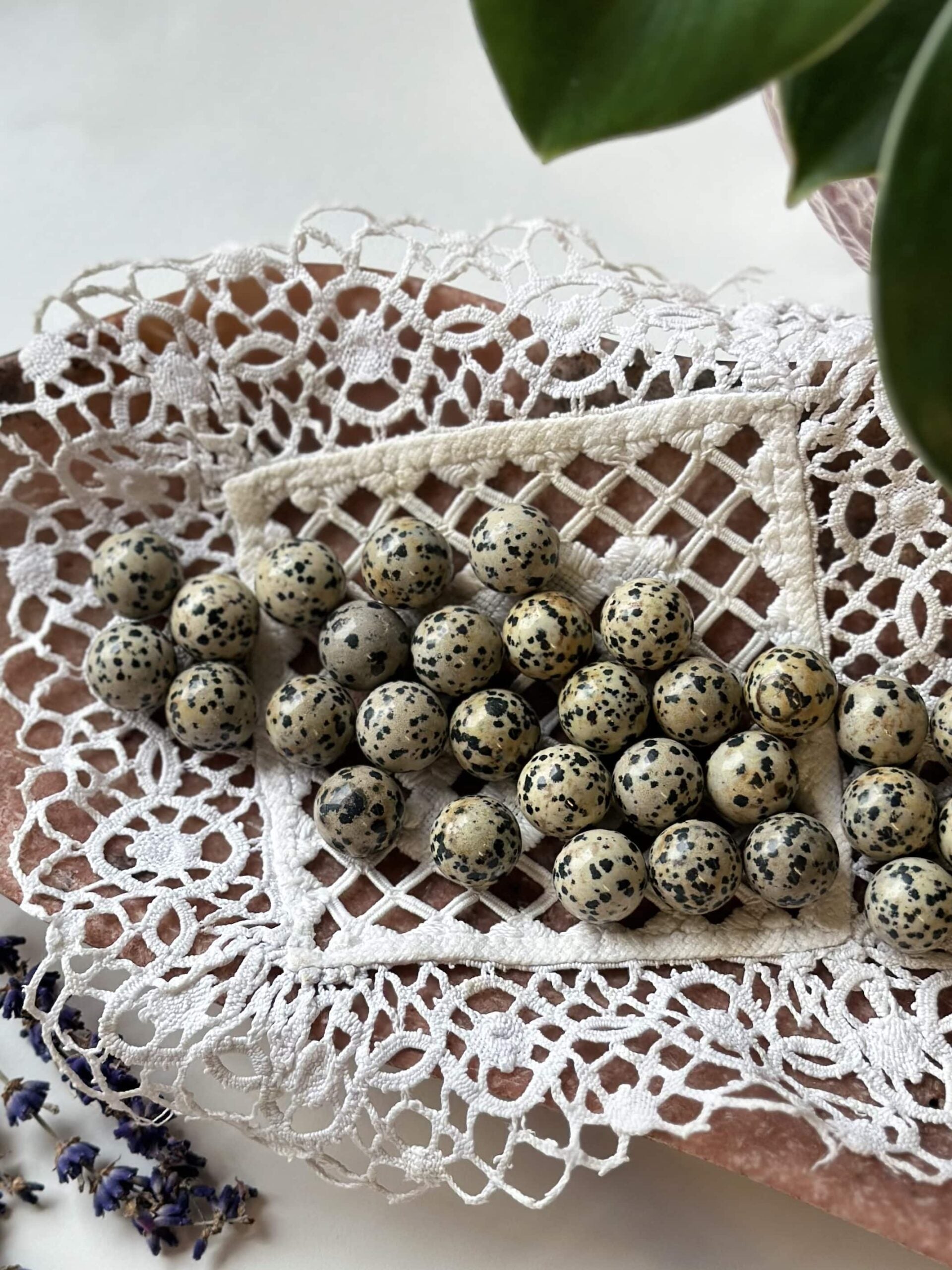 Dalmatiner mini kugler