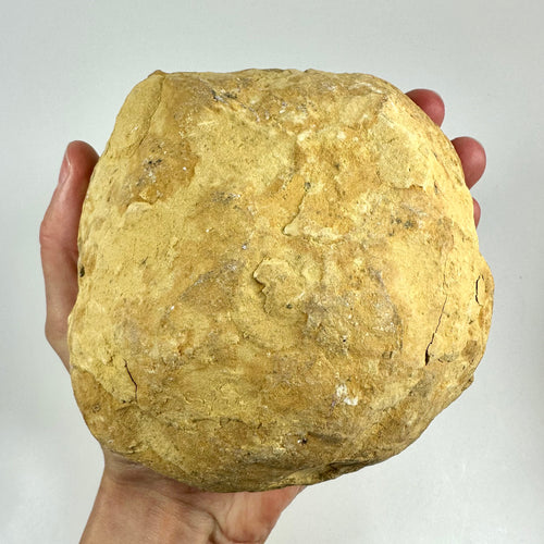 Hånd holder en kvarts geode med en rå og ubehandlet yderside, mod en neutral baggrund.