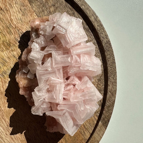 Pink Halit Nr 2