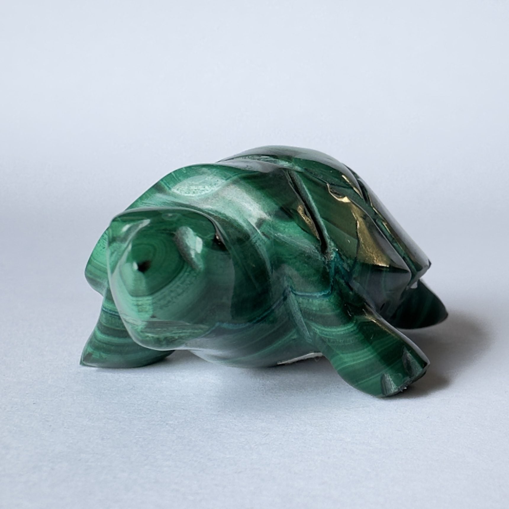 Malakit skildpadde
