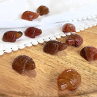 Karneol mini skildpadde