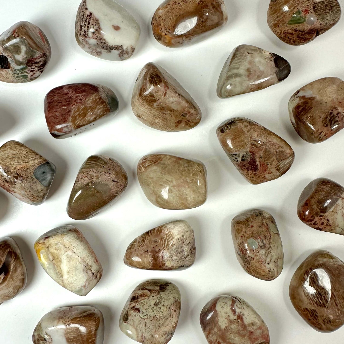 Konglomerat lommesten